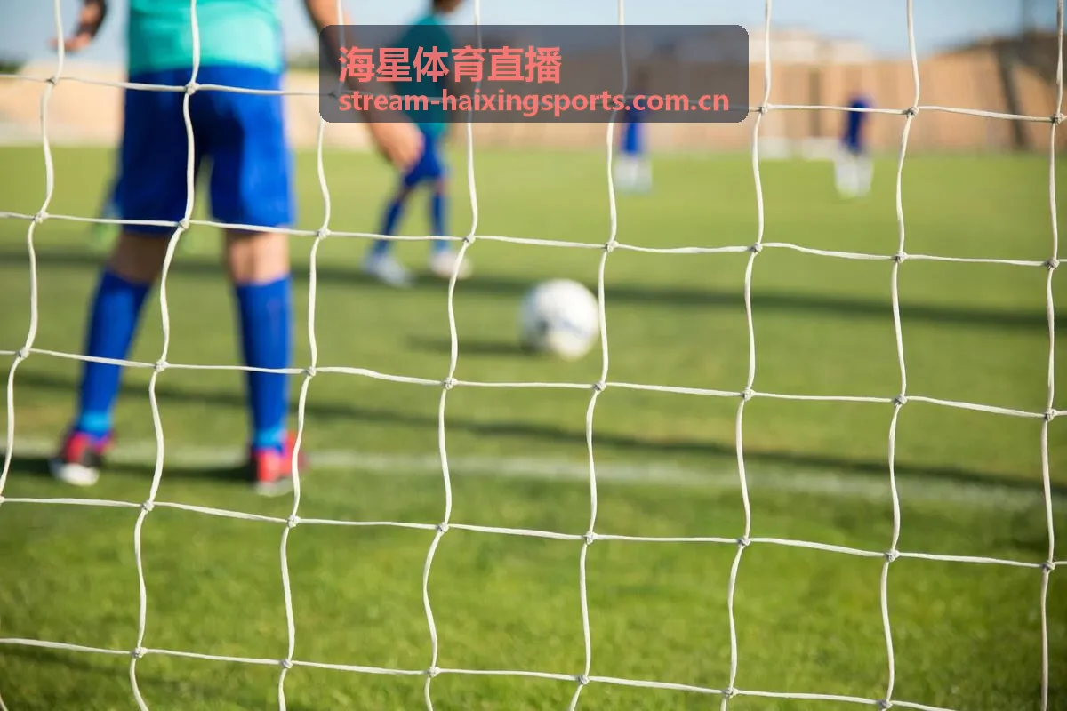 海星体育直播转会窗口资讯封面图